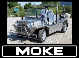 ACG MOKE NEV